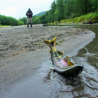 Foto de pesca con mosca