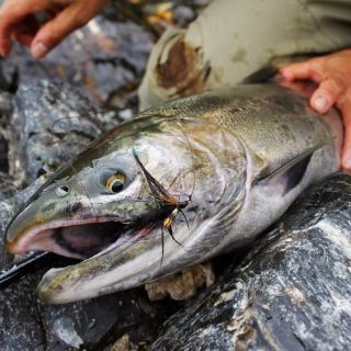 Foto de pesca con mosca