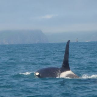 Foto de pesca con mosca