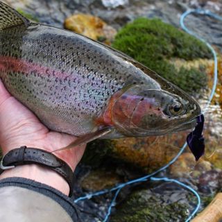 Foto de pesca con mosca