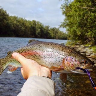 Foto de pesca con mosca