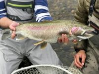 Fly fishing picture