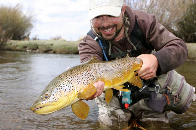 This awesome Brown was caught on a small tributary of the North Platte River in Walden, Colorado. 
