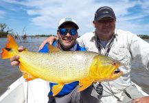 Salminus brasiliensis Fly-fishing Situation – Daniel Ferreyra shared this Good Pic in Fly dreamers 