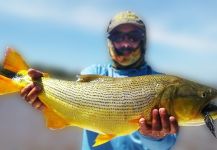  Foto de Pesca con Mosca de Golden dorado compartida por Marcelo Javier Suárez | Fly dreamers