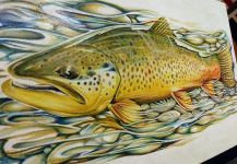 Interesting Fly-fishing Art Picture by Silas Beck 