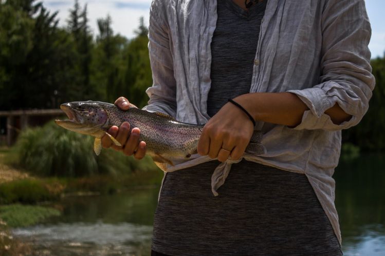 Each fishing experience give us different life stories, this is what makes each of them unique.