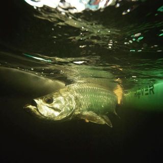 Foto de pesca con mosca