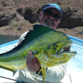 Mark Bachmann, owner of The Fly Fishing Shop in Welches, Oregon has fished for dorado in the Sea of Cortez for 18-years