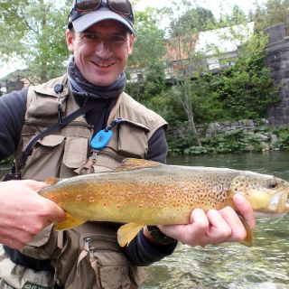 Jumping downtown and catching a Marble Trout along! Idrija river basin area..
