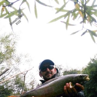 50cm-er, Late October month Sava Dolinka river!