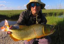 Dorados en pequeños arroyos