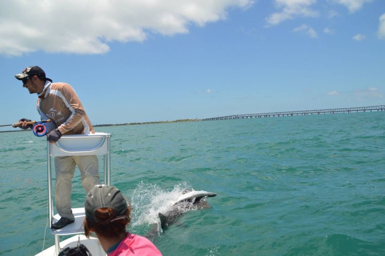 islamorada, Florida Keys, Florida, United States