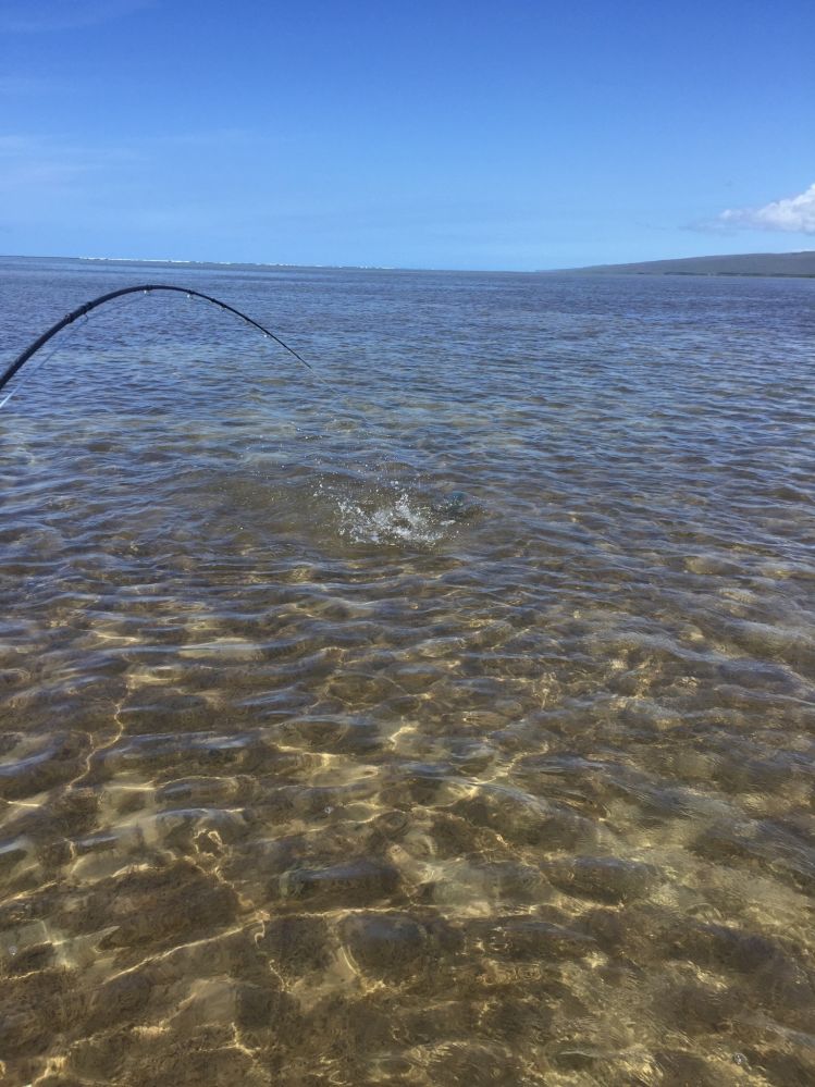 Pacific Ocean, Kaunakakai, Molokai, United States