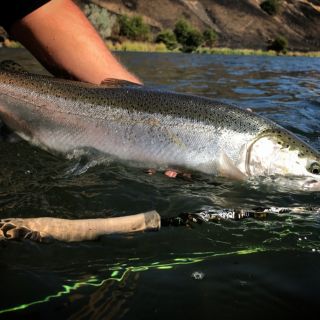 Foto de pesca con mosca