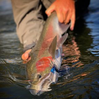 Foto de pesca con mosca