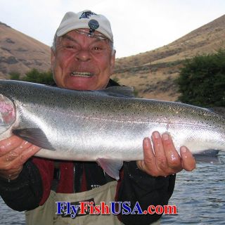 Big wild steelhead can give you a battle on fly fishing gear. Treat them all with respect.