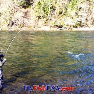 The Sandy River in Oregon is one of the finest winter steelhead fly fishing rivers in the Pacific Northwest.