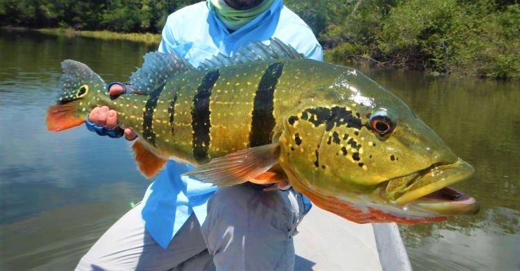 Amazing Adventure on the Rio Mataven in Colombia