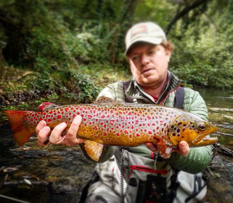 Puccini brown trout in Tuscany