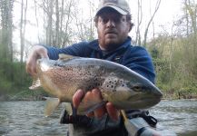Massimo Sodi 's Fly-fishing Image of a European brown trout | Fly dreamers 