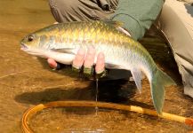 Pescando Mahseers en Tailandia