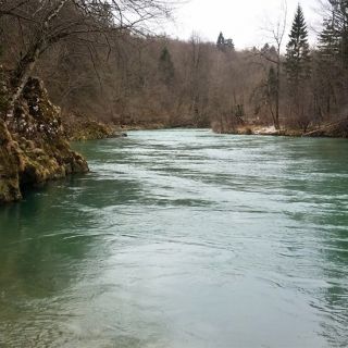 Sava river - Slovenia! Larger stream means larger species! A home of Hucho-hucho salmons!