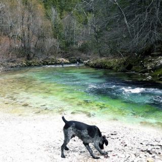 A hidden spot of the Radovna river - Slovenia.. only a hunting dog could found it :-)