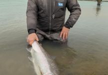  Captura de Pesca con Mosca de Steelhead por Tres Amigos Outfitters SA | Fly dreamers