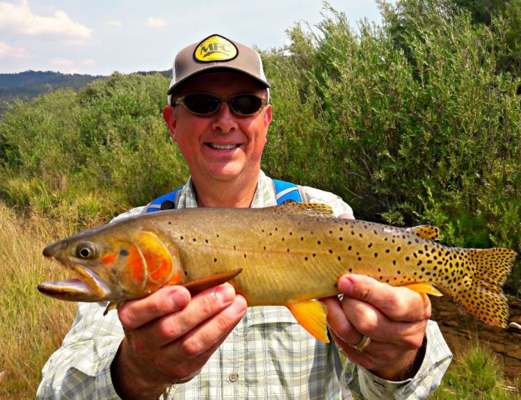 Bonneville Cutthroat - the state fish of Utah.