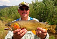 Fly-fishing Pic of Truite fardee shared by Mark Greer | Fly dreamers 