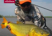 Fly-fishing Photo of Freshwater dorado shared by Kid Ocelos | Fly dreamers 