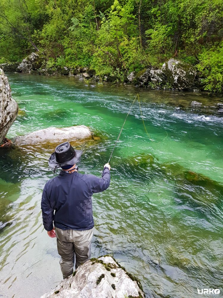 In pursuit for a marble trout