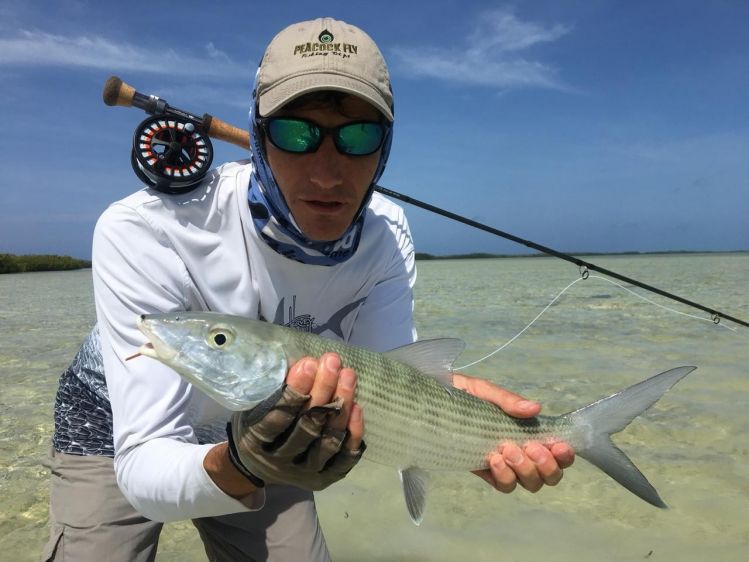 Muy buenos Bonefish en la segunda semana en Los Roques