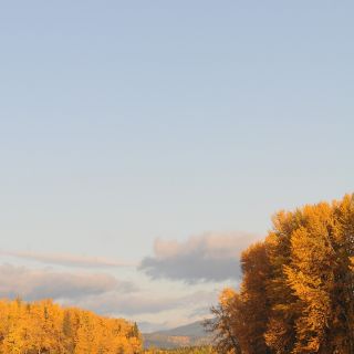 The Bulkley River in its fall colors.  