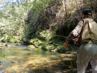 Foto de pesca con mosca