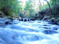 Foto de pesca con mosca