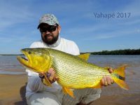 Fly fishing picture