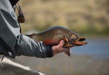 Juan Manuel Biott 's Fly-fishing Catch of a speckled trout | Fly dreamers 