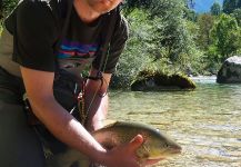 Flyfishingodec Slovenia 's Fly-fishing Picture of a Marble Trout | Fly dreamers 