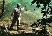 Fly-fishing Situation of Marble Trout shared by Flyfishingodec Slovenia 