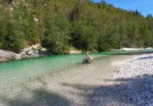 Fly-fishing Situation of Marble Trout shared by Flyfishingodec Slovenia 