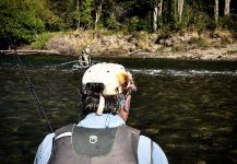  Una Interesante imagen de Situación de Pesca con Mosca por Matapiojo  Lodge