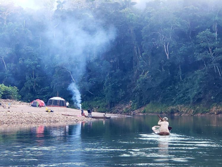 Explorando la jungla boliviana,  un lugar único