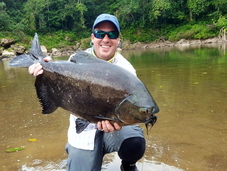 Pacu de la selva boliviana. Una experiencia inolvidable