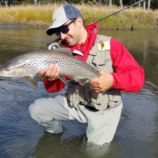 Brown in Claro River