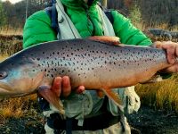 Fly fishing picture