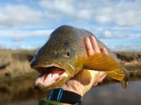 Foto de pesca con mosca