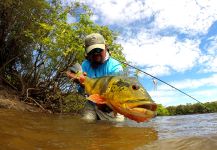 Tucunare / Pavón / Peacock Bass