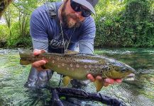 Great Fly-fishing Situation of European brown trout - Photo shared by Uros Kristan - URKO Fishing Adventures | Fly dreamers 